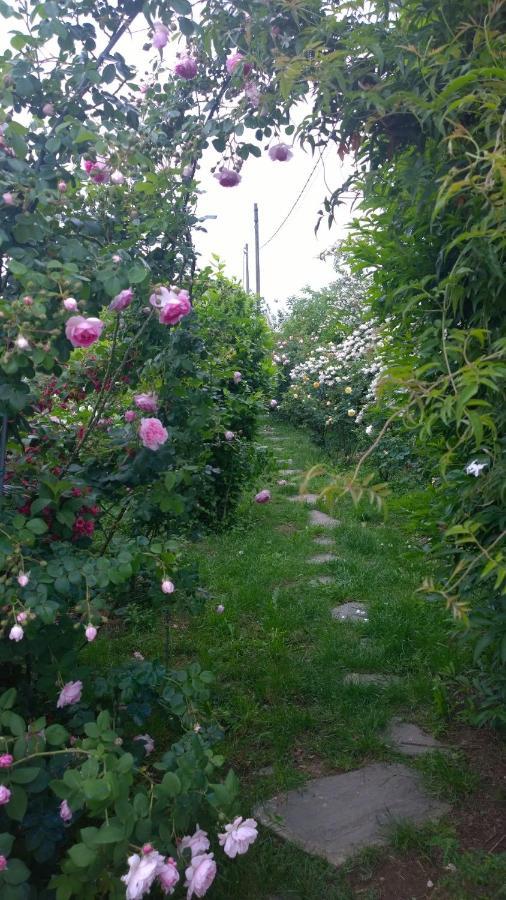 Gattico B&B Villa Giardini Susanna מראה חיצוני תמונה