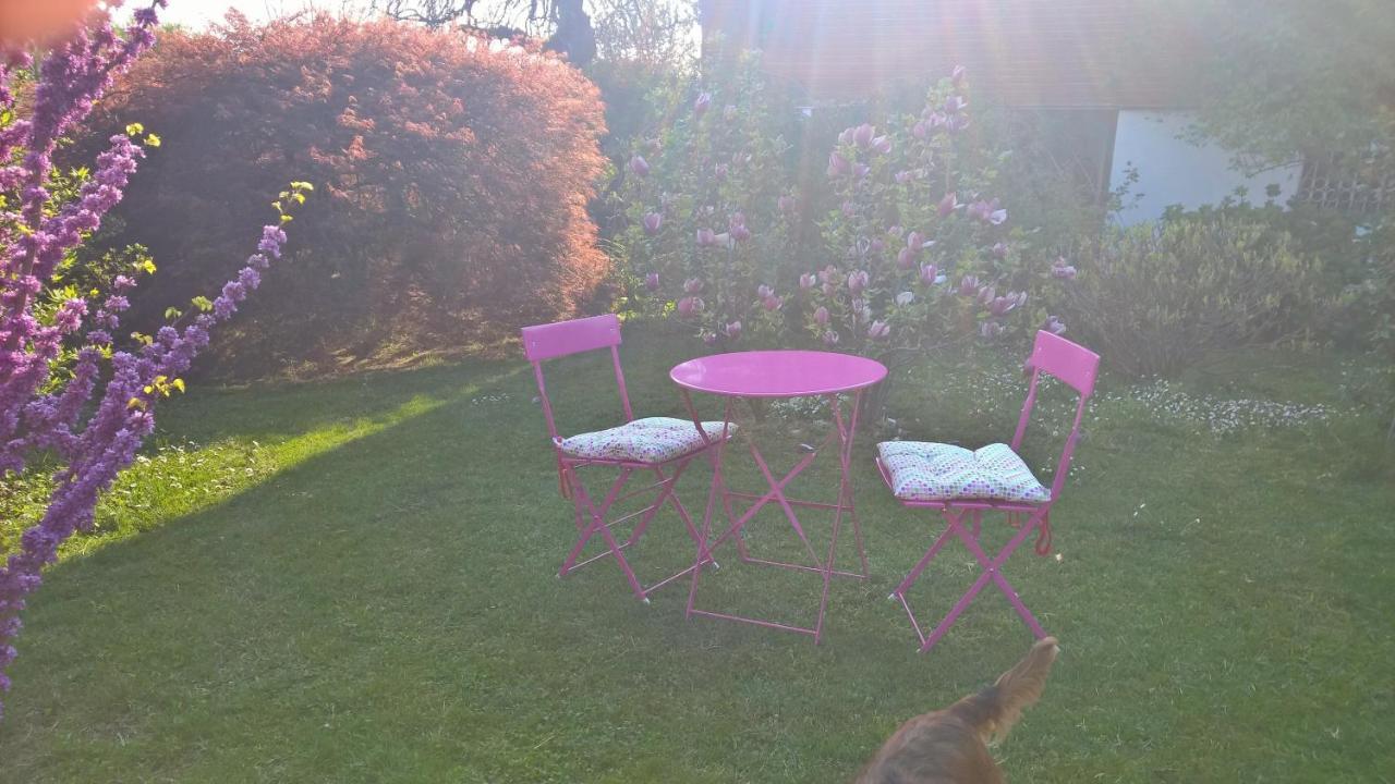 Gattico B&B Villa Giardini Susanna מראה חיצוני תמונה
