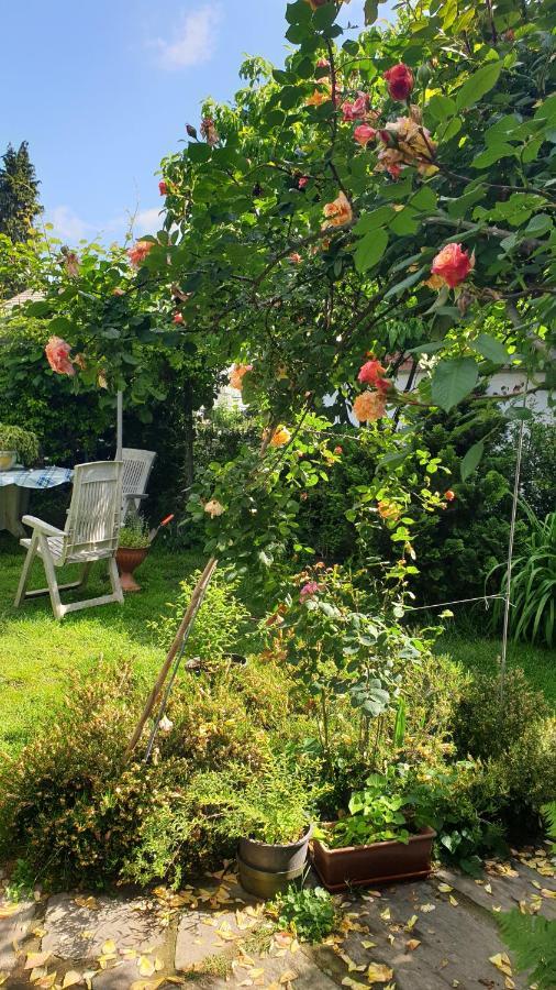 Gattico B&B Villa Giardini Susanna מראה חיצוני תמונה