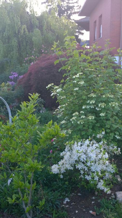 Gattico B&B Villa Giardini Susanna מראה חיצוני תמונה