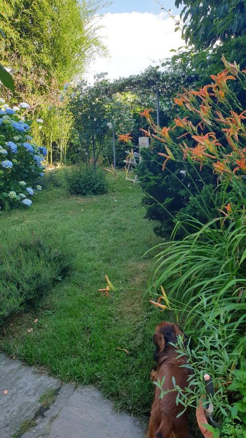 Gattico B&B Villa Giardini Susanna מראה חיצוני תמונה