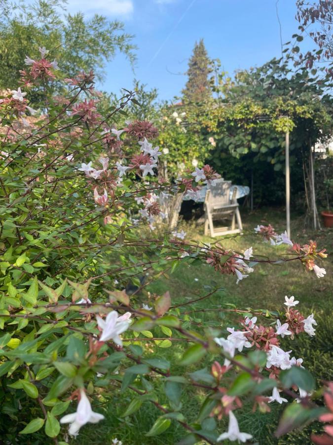 Gattico B&B Villa Giardini Susanna מראה חיצוני תמונה