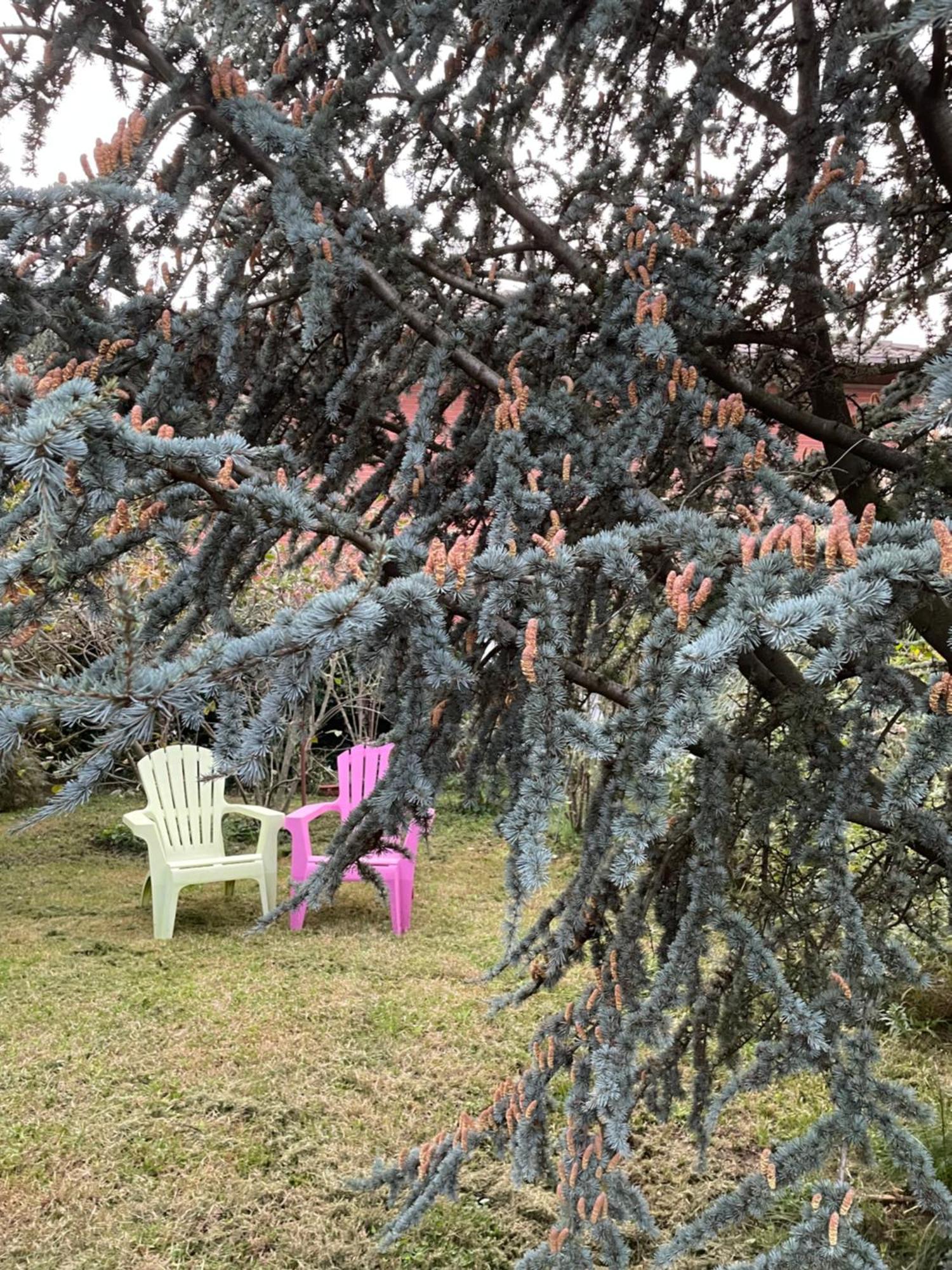 Gattico B&B Villa Giardini Susanna מראה חיצוני תמונה