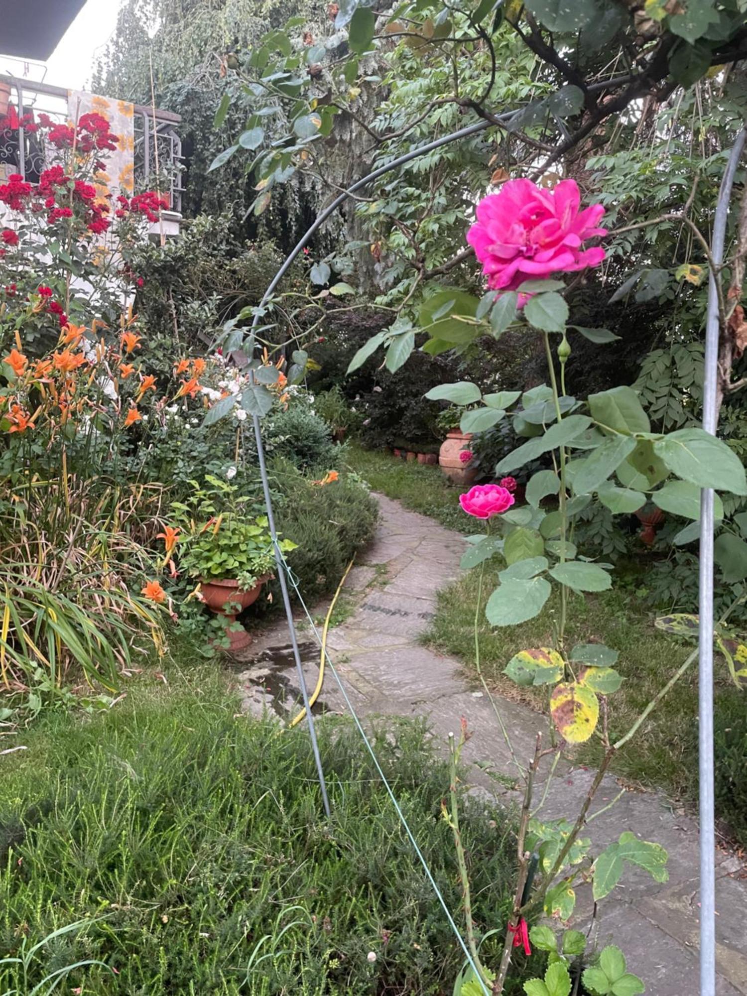 Gattico B&B Villa Giardini Susanna מראה חיצוני תמונה